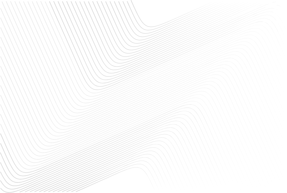 fondo lsv